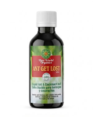 Ant Get Lost