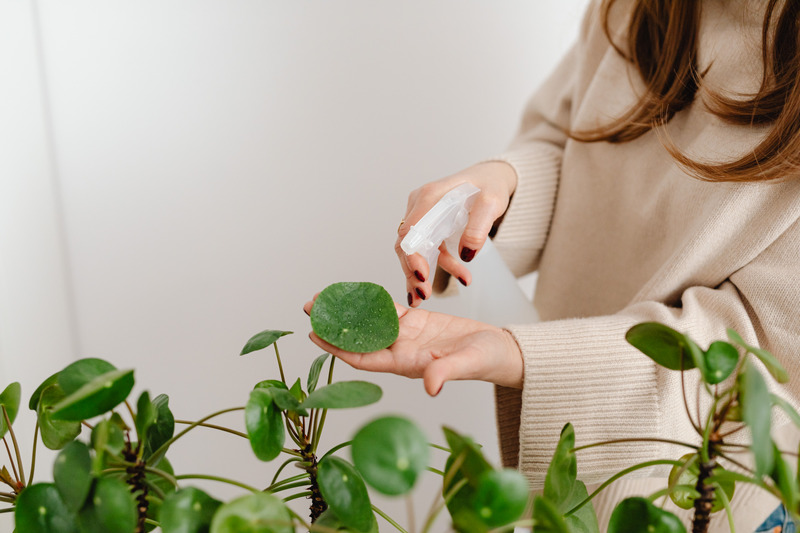 Plant Health